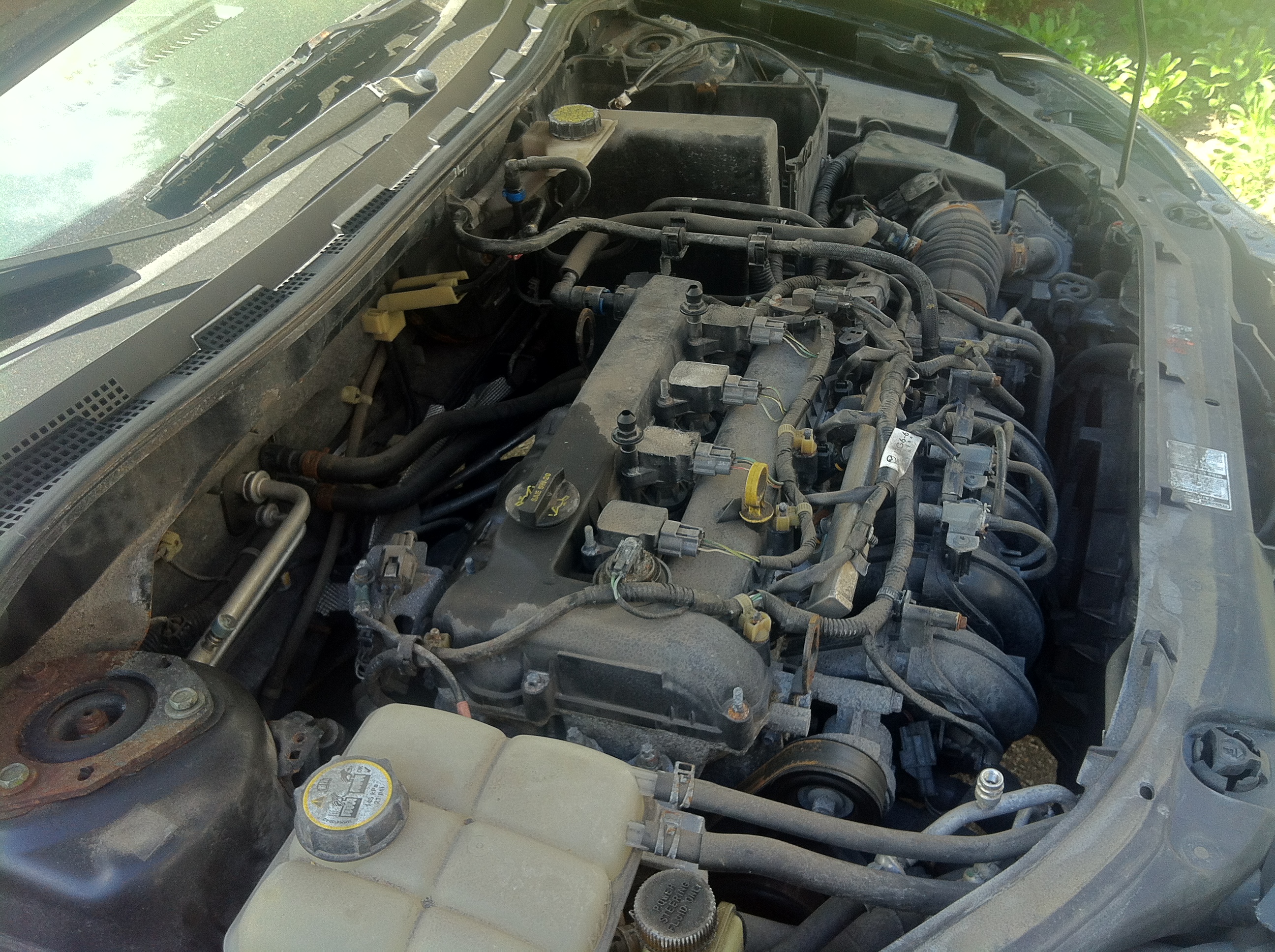 2013-05-08 15.30.28 HDR.jpg